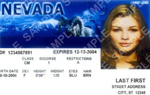 Driving licence copy