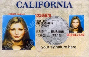 Novelty identity card