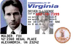 Novelty identity card