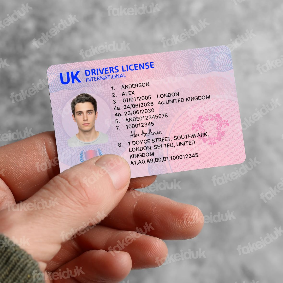 The Ultimate UK Drivers Licence — reverse side.