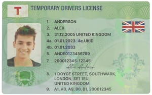 Green “Temporary” License Card