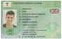 Green “Temporary” License Card