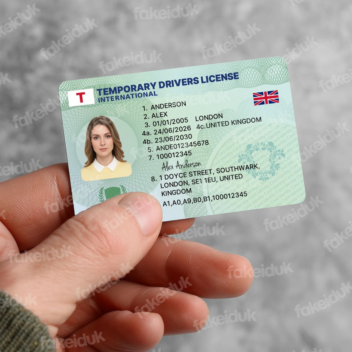 Green “Temporary” License Card — reverse side.