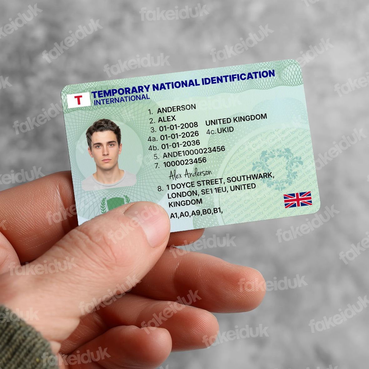 Green “Temporary” License Card — angled view.