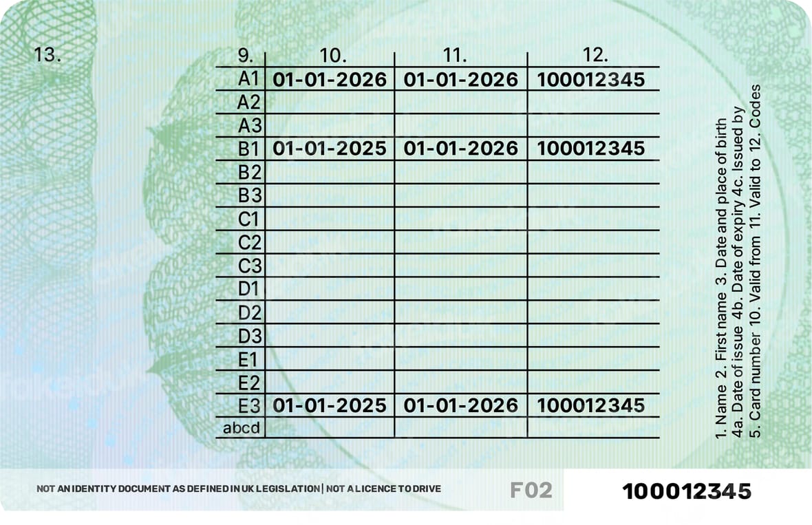 Green “Temporary” License Card — packaging.