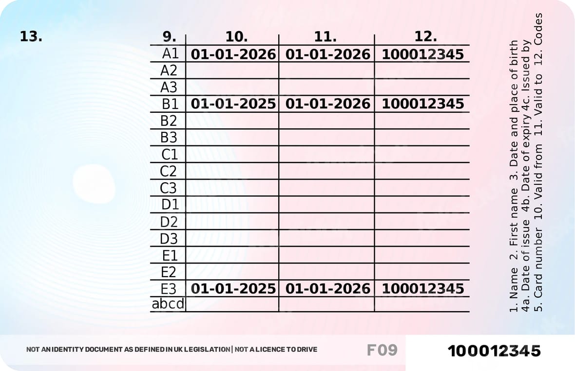Driver’s / National ID Style Card — detail view.