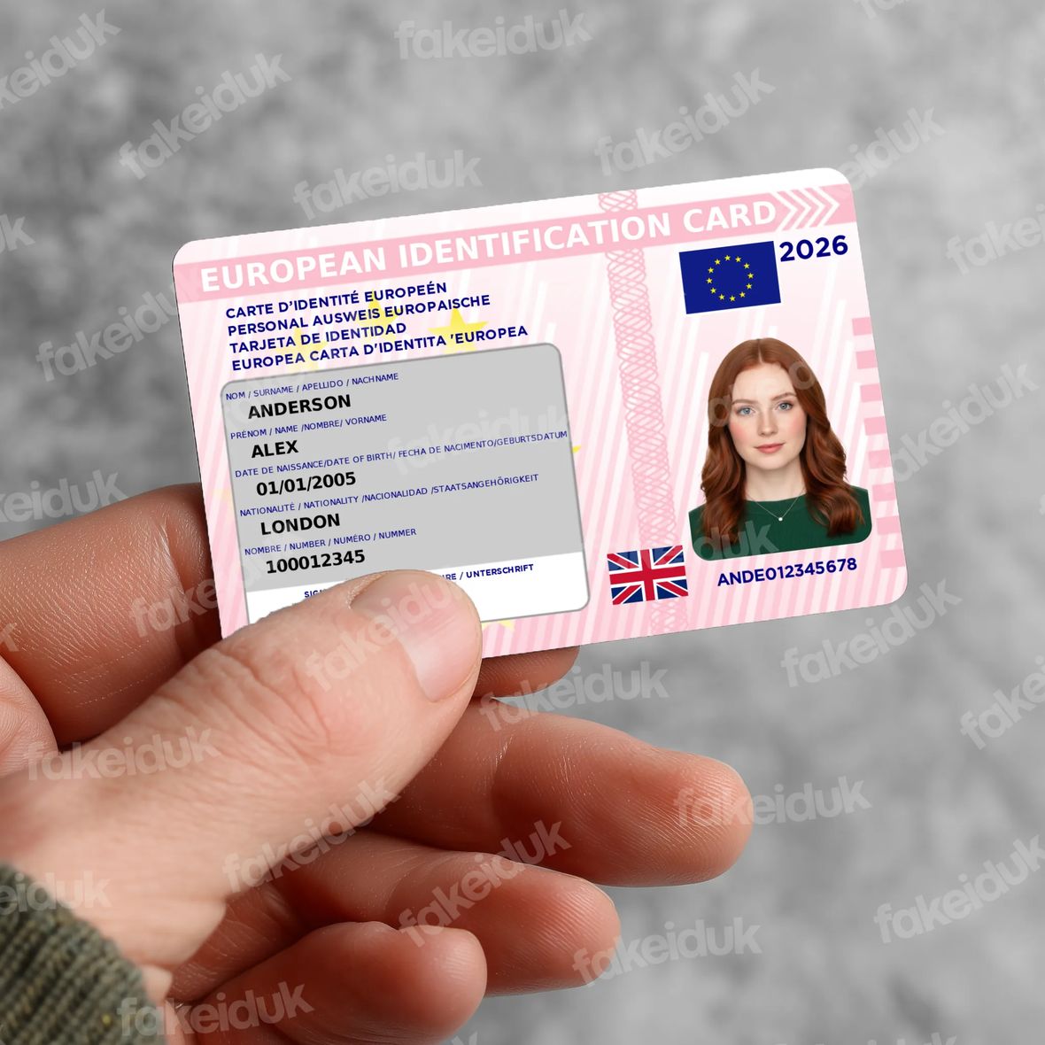 EU Identification Card — reverse side.