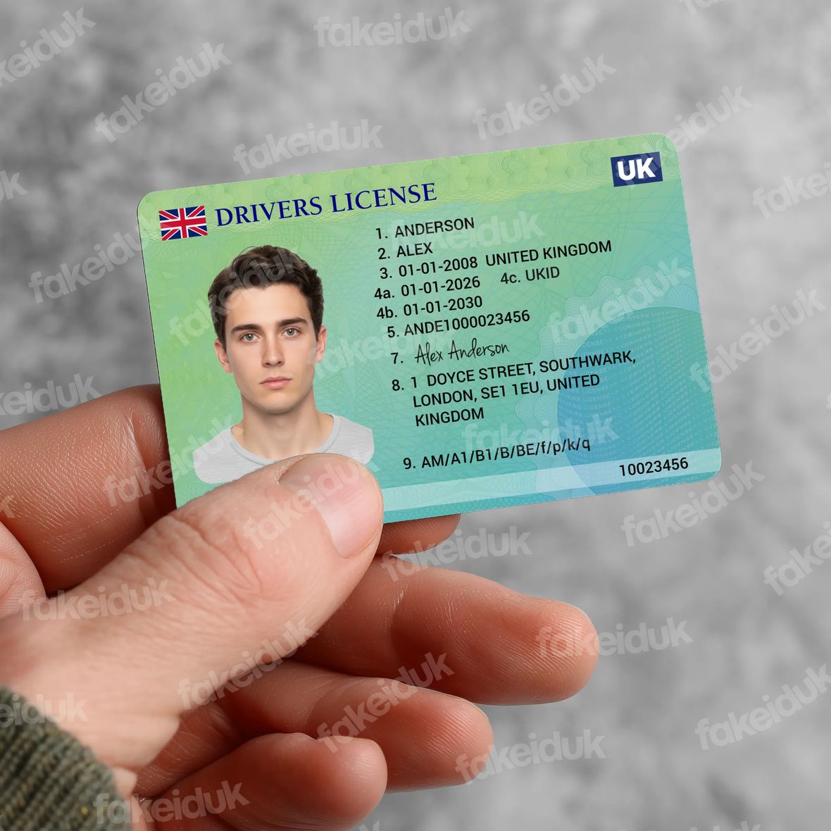 International Drivers License — reverse side.