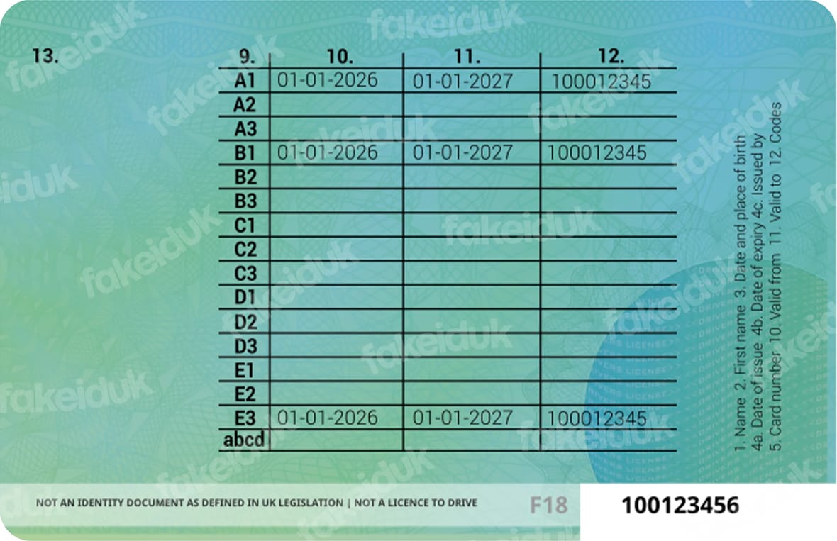 International Drivers License — detail view.